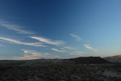 DSC_0297 (Large).JPG